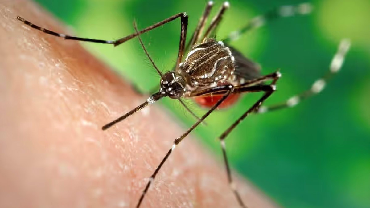 UP Minister Urges Dengue Awareness In Key Meeting To Combat Rising Cases
